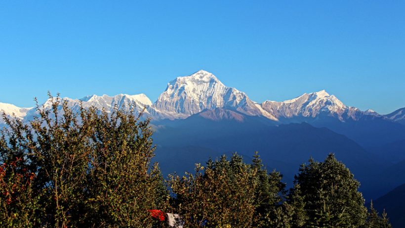 Ghorepani Poon Hill Trek