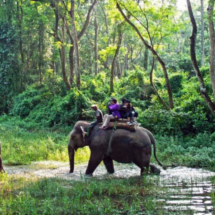 chitwan national park